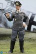 画像6: DID   WWII German Luftwaffe Ace Pilot – Adolf Galland  1/6   アクションフィギュア    D80165 (6)