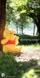 画像4: 予約 Penguin Toys    ディズニー     くまのプーさん    Winnie the Pooh  50cm  STC003  (4)