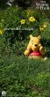 画像8: 予約 Penguin Toys    ディズニー     くまのプーさん    Winnie the Pooh  50cm  STC003  (8)
