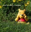 画像6: 予約 Penguin Toys    ディズニー     くまのプーさん    Winnie the Pooh  50cm  STC003  (6)