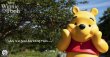 画像5: 予約 Penguin Toys    ディズニー     くまのプーさん    Winnie the Pooh  50cm  STC003  (5)