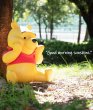 画像3: 予約 Penguin Toys    ディズニー     くまのプーさん    Winnie the Pooh  50cm  STC003  (3)
