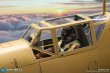 画像3: DID   Bf109 Cockpit (Sand)   1/6  フィギュア   E60065Y (3)