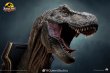 画像7: 予約 Queen Studios    Tyrannosaurus    1/3  スタチュー (7)