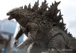 画像5: 予約 HIYA Godzilla vs Kong  ゴジラ 18cm フィギュア EBG0061 (5)