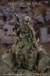 画像7: 予約  minitimes toys    US ARMY SPECIAL FORCES   1/6   アクションフィギュア   M048  (7)