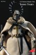 画像3: FIRE PHOENIX   Die-casting alloy Medieval Teutonic Knights&Medieval Hospital Knights Double Figure Set    1/12   アクションフィギュア FP019 (3)