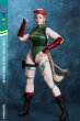 画像6: 予約 PLAY TOY  Fighting Female Warrior    1/6  アクションフィギュア  P020-A (6)
