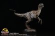 画像3: 予約 DINO DREAM   Jurassic Park   FAUX-BRONZE  Velociraptor JP30TH   Velociraptor  1/5   スタチュー   DDJP103 (3)