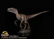 画像2: 予約 DINO DREAM   Jurassic Park   FAUX-BRONZE  Velociraptor JP30TH   Velociraptor  1/5   スタチュー   DDJP103 (2)