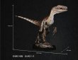 画像6: 予約 DINO DREAM   Jurassic Park   FAUX-BRONZE  Velociraptor JP30TH   Velociraptor  1/5   スタチュー   DDJP103 (6)