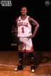 画像2: 予約 GoatToys    Derrick Rose  2010 - 2011 NBA REGULAR SEASON MVP    1/6  アクションフィギュア   (2)