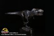 画像4: 予約 DINO DREAM   Jurassic Park   FAUX-BRONZE TREX JP30TH   Tyrannosaurus   1/15   スタチュー   DDJP102  (4)