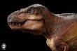 画像3: 予約 W-DRAGON ティラノサウルス 1/35 フィギュア 2.0 (3)