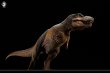 画像9: 予約 W-DRAGON ティラノサウルス 1/35 フィギュア 2.0 (9)