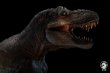 画像11: 予約 W-DRAGON ティラノサウルス 1/35 フィギュア 2.0 (11)