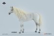 画像3: 予約  JXK  Akhal-teke horses   阿哈爾捷金馬    1/6  フィギュア  JXK208A (3)