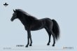 画像4: 予約  JXK  Akhal-teke horses   阿哈爾捷金馬    1/6  フィギュア  JXK208A (4)