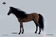 画像1: 予約  JXK  Akhal-teke horses   阿哈爾捷金馬    1/6  フィギュア  JXK208A (1)