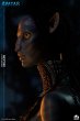 画像13: 予約 Infinity Studio アバター Avatar:' The Way of Water' Neytiri 1/1 スタチュー  DELUXE Ver (13)