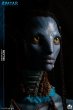 画像7: 予約 Infinity Studio    アバター  Avatar:' The Way of Water' Neytiri     1/1  スタチュー     NORMAL Ver (7)