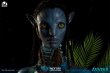 画像17: 予約 Infinity Studio アバター Avatar:' The Way of Water' Neytiri 1/1 スタチュー  DELUXE Ver (17)