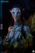 画像6: 予約 Infinity Studio アバター Avatar:' The Way of Water' Neytiri 1/1 スタチュー  DELUXE Ver (6)