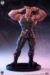 画像2: 予約 Sideshow x PCS    Street Fighter    GUILE   1/4   スタチュー   9130302  DELUXE Ver (2)