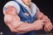 画像10: 予約 Sideshow x PCS    Street Fighter    GUILE   1/4   スタチュー   913030  NORMAL Ver (10)