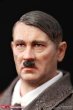 画像7: 予約 DID   Mini Reich Series  Adolf Hitler 1889-1945   1/12  アクションフィギュア   TG80001 (7)