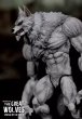 画像10: 予約 LC Studio     The Crypt    Black Wolf/White Wolf    アクションフィギュア  (10)