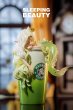 画像3: 予約 WeArtDoing  Coffee Girl - Colorful Mocha & Matcha Latte & Cold Brew Concentrate  16/25cm   フィギュア     (3)