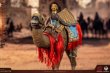 画像5: 予約 HHMODEL & HAOYUTOYS  Imperial Legion-Camel mount  1/6  アクションフィギュア HH18075B (5)