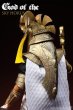 画像4: 予約 FIRE PHOENIX  DIECAST ALLOY - Pharaoh's Guardian God - HORUS  1/12 アクションフィギュア  FP023  (4)