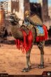 画像4: 予約 HHMODEL & HAOYUTOYS  Imperial Legion-Camel mount  1/6  アクションフィギュア HH18075B (4)