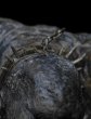 画像7: 予約 Weta Workshop  Lord of the Rings - Cave Troll   16cm  スタチュー   86-01-04349  (7)