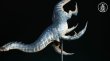 画像8: 予約 Aphid Studio   Original UMA theme fantasy creatures Loch Ness Monster Nessie    48cm  スタチュー     (8)