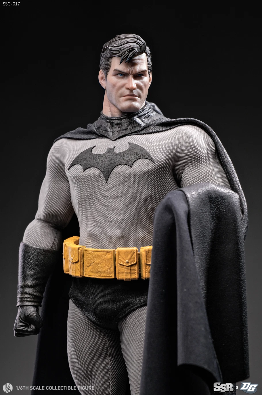 フィギュア専門店 -ソダチトイズ / 予約 SSR X DGtoys 1/6 ハッシュ