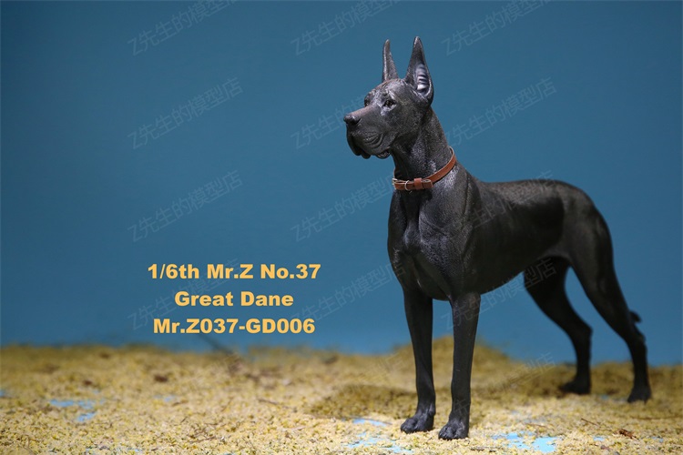 信頼への信頼 -ソダチトイズ フィギュア専門店 / ジャーマン 1/6 Mr.Z その他
