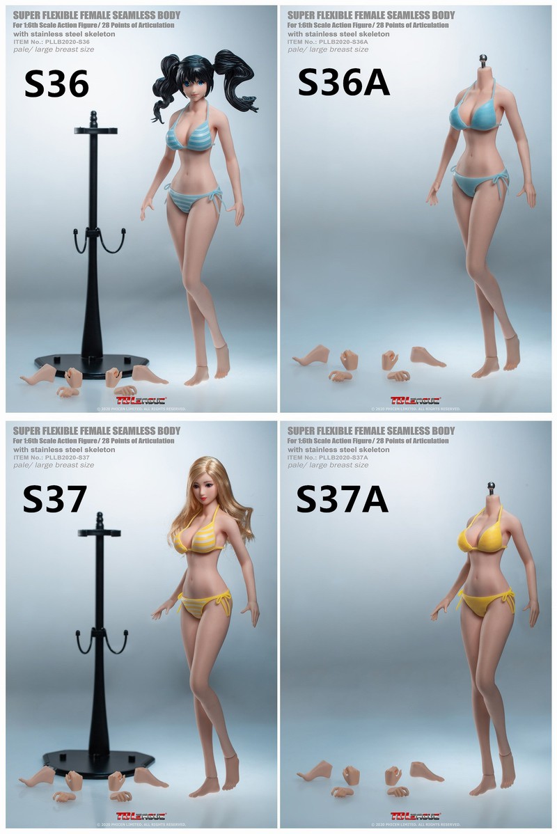 Amazon.co.jp: A7 16スケール PHICENファイセン素体対応 女性